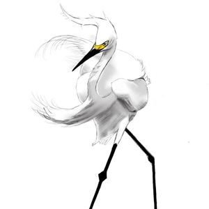 Meet your Posher, Sue